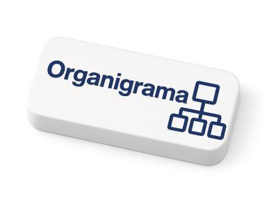 ESTRUCTURA ORGANIZATIVA
