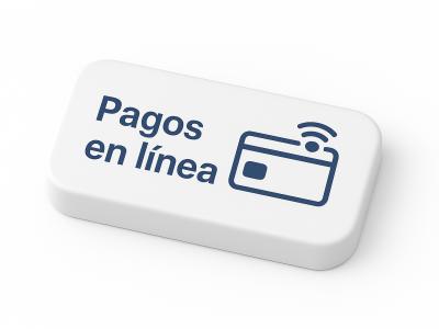 PAGOS EN LINEA 